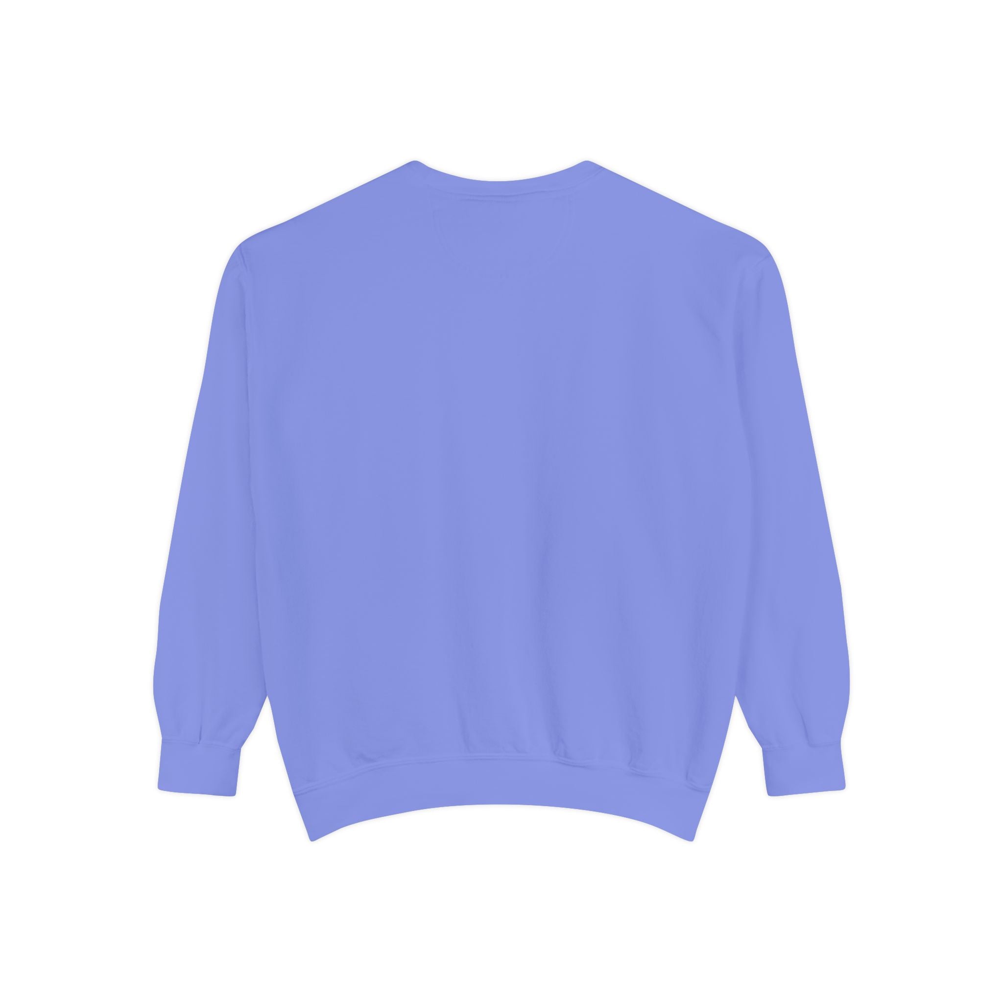 Southern Rogue Longhorn Sweatshirt
